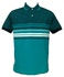 Polo Verde com Listras verdes
