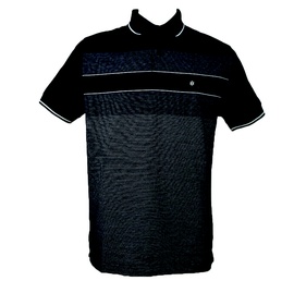 Polo azul com listras